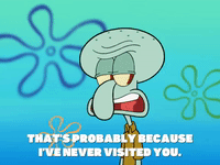 season 6 squid's visit GIF by SpongeBob SquarePants