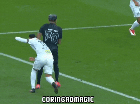 Santos Fc Futebol GIF