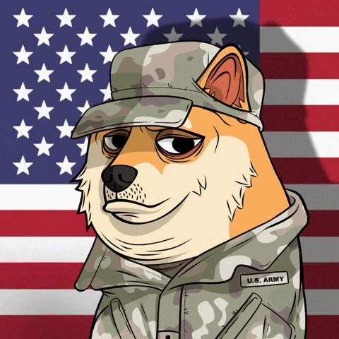 Independence Day Army GIF by Doge Pound