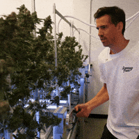 Grow Growing Pains GIF by Exclusive Brands