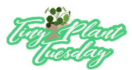 Plant Sticker