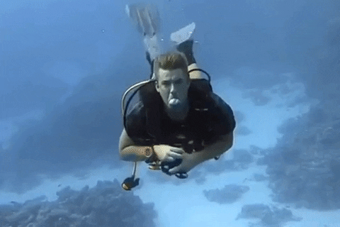 labemi scuba middlefinger diver flip the bird GIF