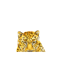 Moglibio Sticker by mogli_de