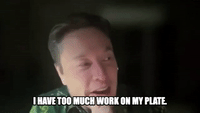 Elon Musk: 'Too Much Work'