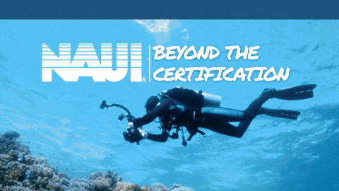 Ocean Scuba GIF by NAUI Worldwide