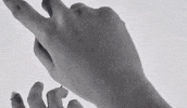 Ccc Bini GIF