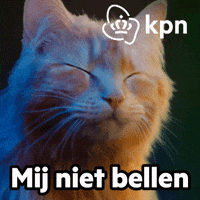 Hallo Party Animal GIF by KPN