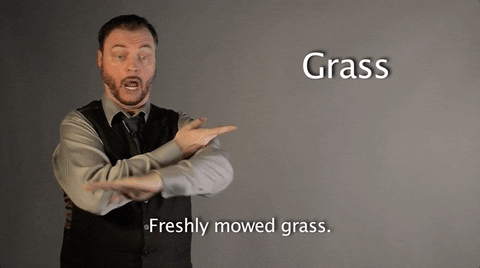 sign language grass GIF by Sign with Robert