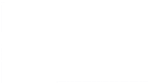 eacsystem giphygifmaker eacsystem GIF