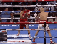 toprank fight boxing fighting espn GIF