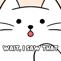 Shocked White Cat GIF by MESA My Emotional Support Animal