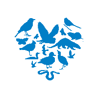 Minsmere Sticker by RSPB