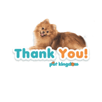 Pet Petlovers Sticker by DM KLR