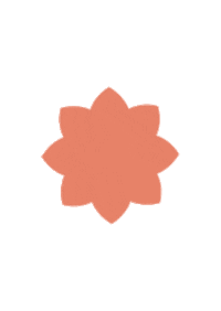 paulaschoicesg beauty skincare shop 2021 Sticker