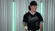 Baseball GIF by RiverHawk Sports