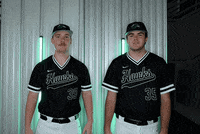 Baseball Hawks GIF by RiverHawk Sports