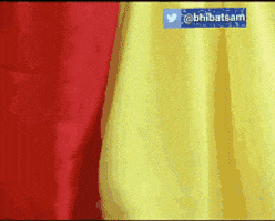 Mehta GIF