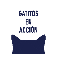 gatitosenaccion gatos gatitos gatitos argentina gatitosenaccionargentina Sticker