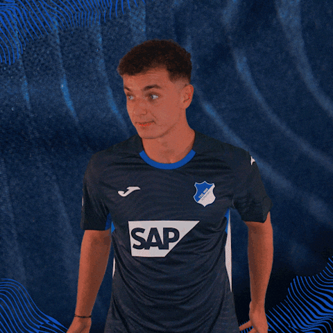 Sport Bundesliga GIF by TSG Hoffenheim