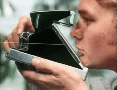 polaroid GIF