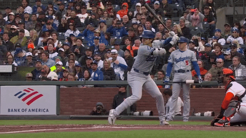 Major League Baseball Sport GIF by MLB