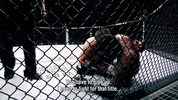 khabib nurmagomedov mma GIF by UFC