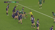 GIF by Connacht Rugby