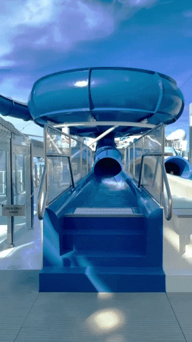 olivelin giphygifmaker GIF