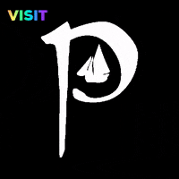 anpucan beer pint galway pucan GIF