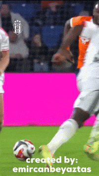 Beşiktaş GIF