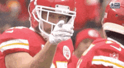 National Football League GIF by NFL