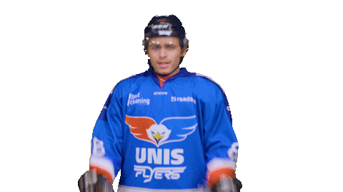 Goal Eagles Sticker by UNIS Flyers