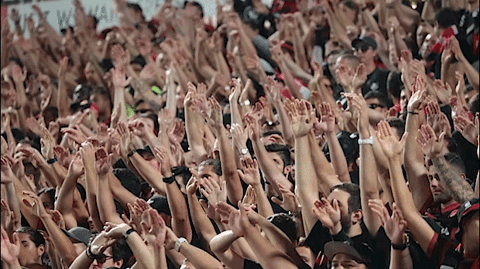 wswanderersfc giphyupload reaction football wanderers GIF