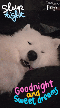 Sweet Dreams Sleeping GIF