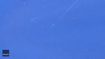 Diver Encounters Rare Mako Shark