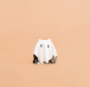 cat halloween GIF