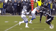 2018 Nfl Football GIF by NFL