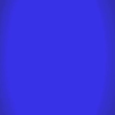 President Prez GIF by Jeopardy!