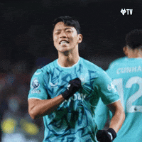 Premier League Love GIF by Wolves