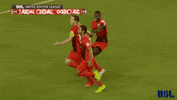 pulling 2018 season GIF by USL
