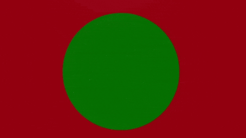 Ottoman Empire Flag GIF