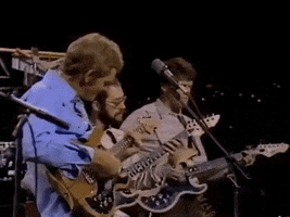 Jerry Reed Guitar GIF by tylaum