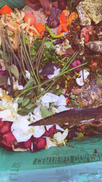 Flowers Diy GIF by Common Ground Compost