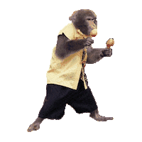 Fun Monkey Sticker