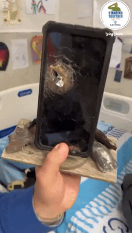 Insight_video giphyupload GIF