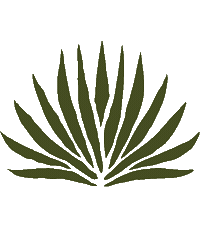 Agave Sticker by Metoro mezcal