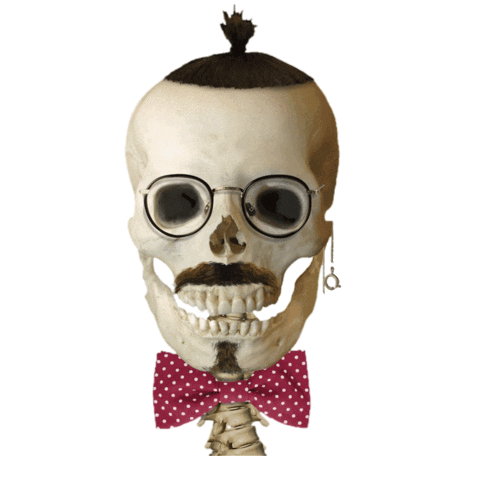 Skull Ohad Sticker by United King