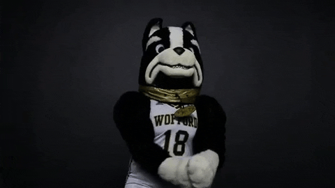 excited get up GIF by Wofford Athletics