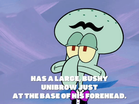 season 6 GIF by SpongeBob SquarePants