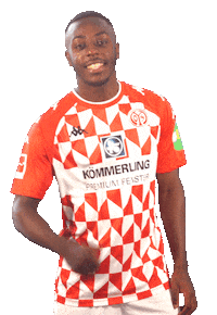Bundesliga Mainz05 Sticker by 1. FSV Mainz 05